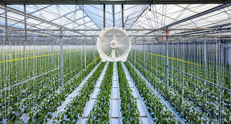 Nieuwe generatie Multifan Tuinbouwventilatoren Nieuwe generatie Multifan Tuinbouwventilatoren