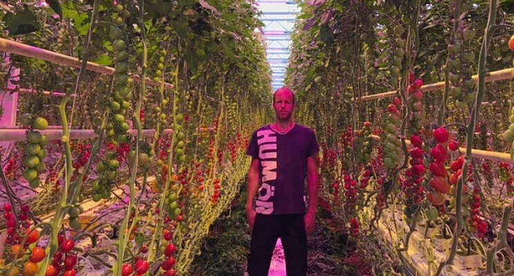 'Meerproductie met hybride groeilichtinstallatie' 'Meerproductie met hybride groeilichtinstallatie'