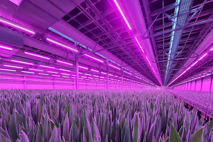 Nieuw indoor farming groeilichtsysteem Hortilux