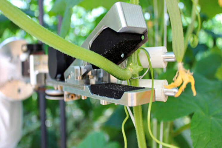 Nieuwe bladkniprobot hogedraadkomkommers Nieuwe bladkniprobot hogedraadkomkommers