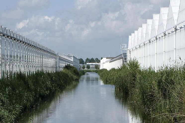 WaterEvent legt nadruk op substraatteelt WaterEvent legt nadruk op substraatteelt