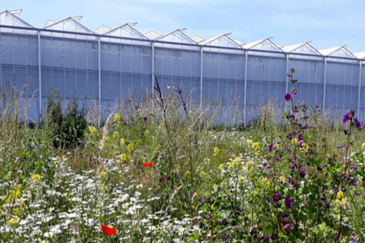 Telersbijeenkomst biodiversiteit