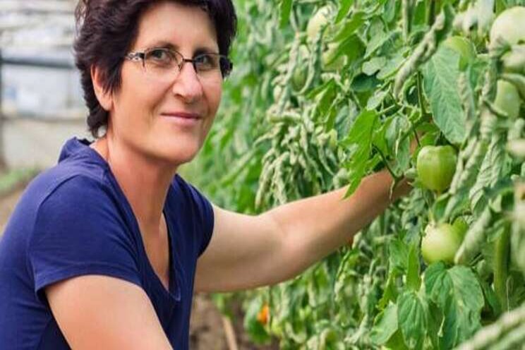 Agrovertrouwen daalt, maar tuinbouw bovengemiddeld Agrovertrouwen daalt, maar tuinbouw bovengemiddeld