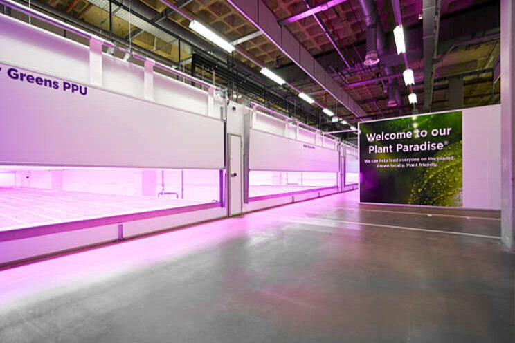 PlantLab breidt flink uit PlantLab breidt flink uit