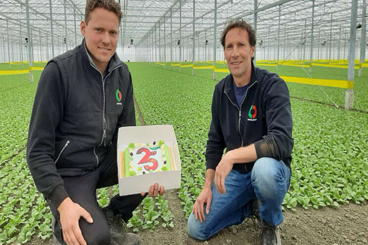 Groeiende vraag naar radijs Groeiende vraag naar radijs