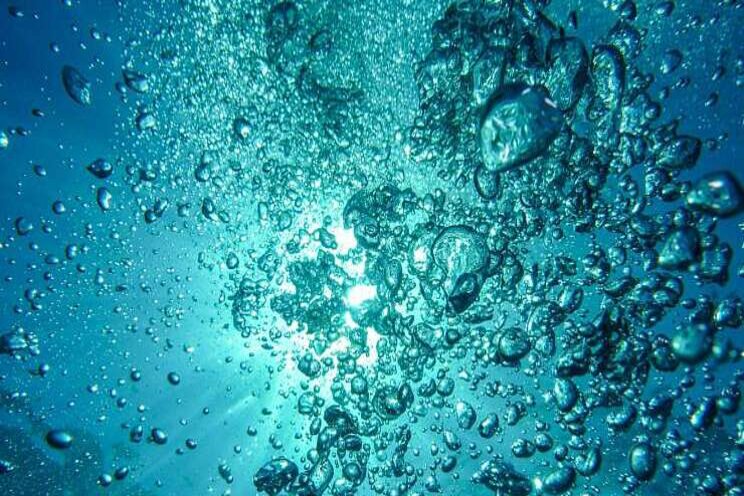 Nanobubbles als nieuwe tool voor gezondere groei Nanobubbles als nieuwe tool voor gezondere groei