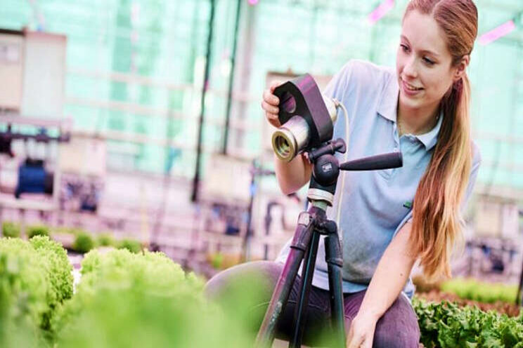 'Koala' succesvol in Greenhouse Challenge 'Koala' succesvol in Greenhouse Challenge