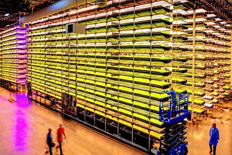 Vertical Farming Wednesday... Wereldwijde groei verwacht Vertical Farming Wednesday... Wereldwijde groei verwacht