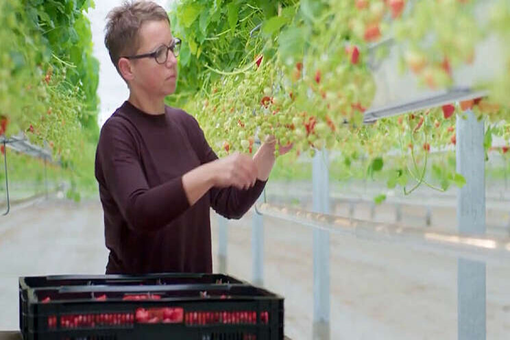 Beekenkamp Verpakkingen partner van Delphy ISFC Beekenkamp Verpakkingen partner van Delphy ISFC