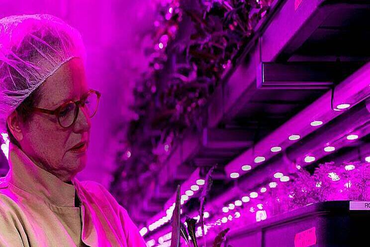 Vertical Farming Wednesday... Produceren midden in de stad Vertical Farming Wednesday... Produceren midden in de stad