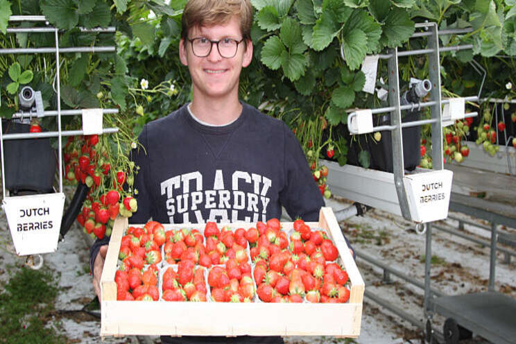 'Betere beworteling aardbeien door meer zuurstof' 'Betere beworteling aardbeien door meer zuurstof'