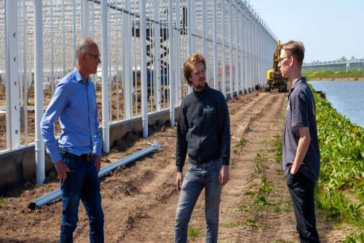 Visie 2030 voor tuinbouw Bommelerwaard in de maak Visie 2030 voor tuinbouw Bommelerwaard in de maak