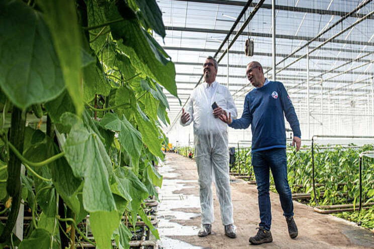 Ook bioteelt aan de slag met schermdoeken Ridder Ook bioteelt aan de slag met schermdoeken Ridder