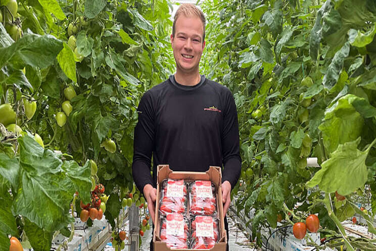 Phytorich Krachtige Tomaten in schap bij DEEN Phytorich Krachtige Tomaten in schap bij DEEN