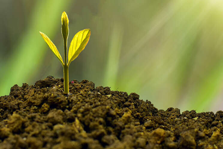 Webinar Plantgezondheid over inzet biostimulanten Webinar Plantgezondheid over inzet biostimulanten