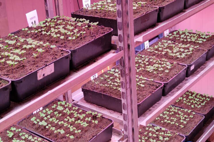 'Groen op zaad' gestart 'Groen op zaad' gestart