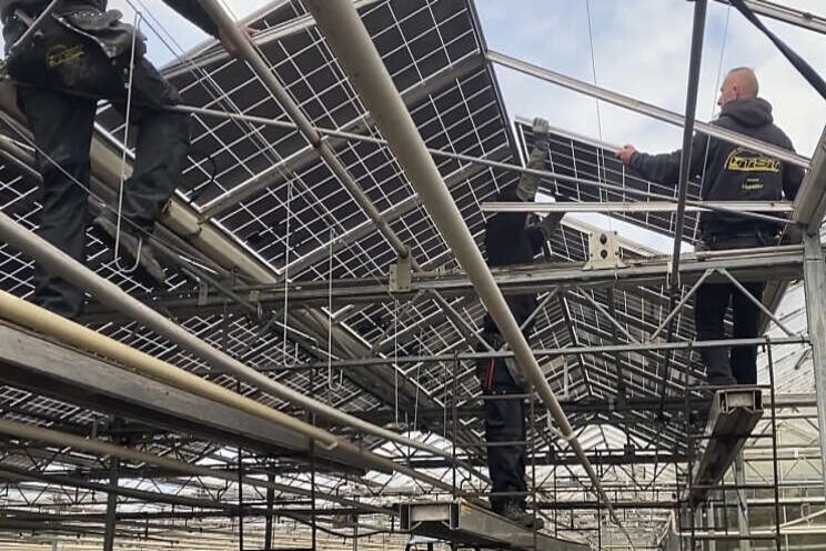 Meer dan 700 zonnepanelen op kassen in Haarlem Meer dan 700 zonnepanelen op kassen in Haarlem