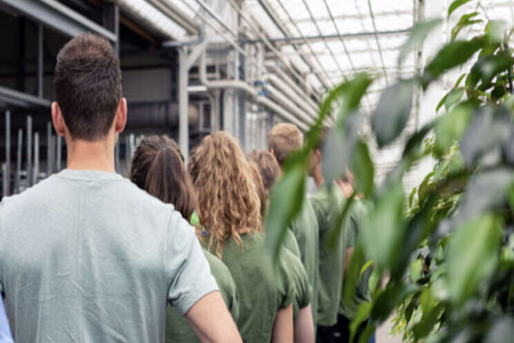 Gezocht: telers om studenten te beoordelen Gezocht: telers om studenten te beoordelen