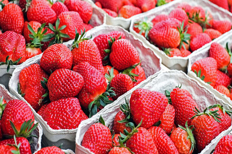 Aardbeien Drive-in aan A73 Aardbeien Drive-in aan A73