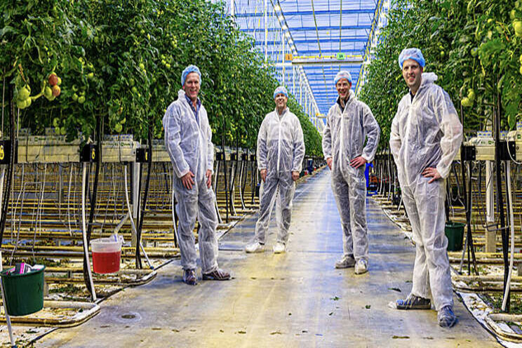 Winnaarsmentaliteit in de tomatenteelt Winnaarsmentaliteit in de tomatenteelt