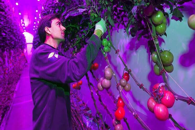PlantLab actief in VS PlantLab actief in VS