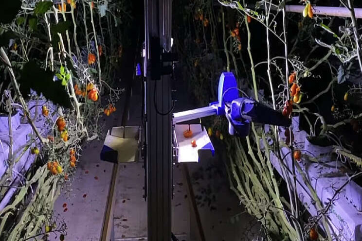 Producent oogstrobot komt naar Nederland Producent oogstrobot komt naar Nederland
