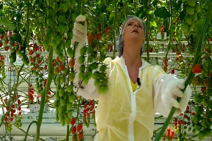 Syngenta Group plust 5% Syngenta Group plust 5%