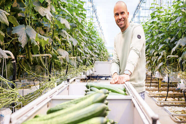 Komkommerkwekerij Vitom wordt lid Growers United Komkommerkwekerij Vitom wordt lid Growers United