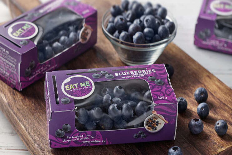 Duurzame verpakking voor blauwe bessen Berries Pride Duurzame verpakking voor blauwe bessen Berries Pride