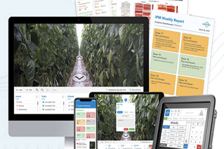 Samenwerking Biobest en ecoation helpt telers Samenwerking Biobest en ecoation helpt telers
