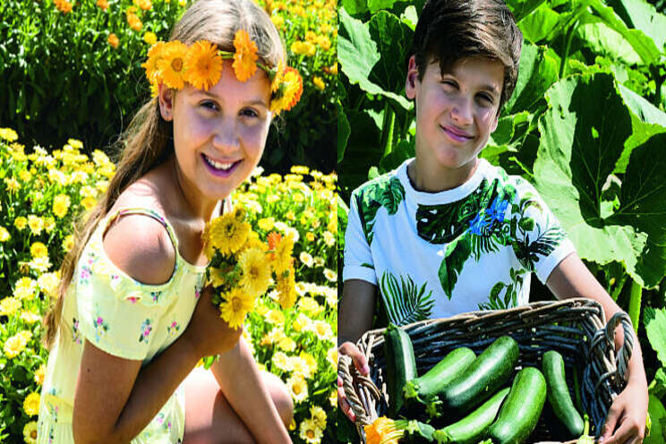 Jaar van de Goudsbloem & Courgette gestart Jaar van de Goudsbloem & Courgette gestart