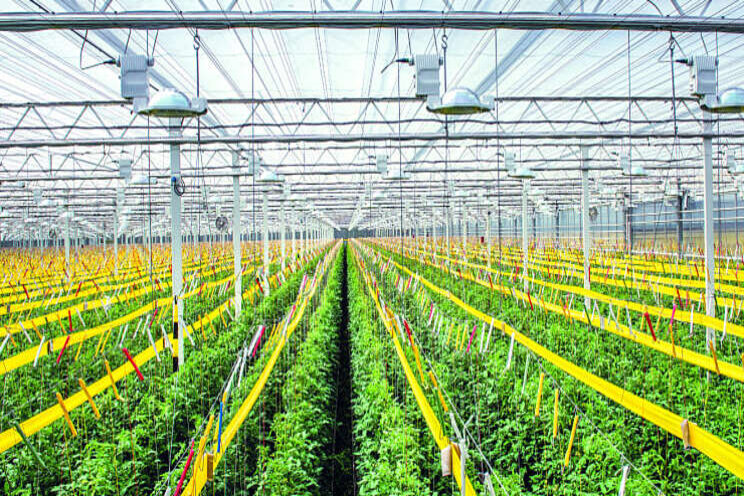 'Ook conventionele tuinbouw duurzaam' 'Ook conventionele tuinbouw duurzaam'