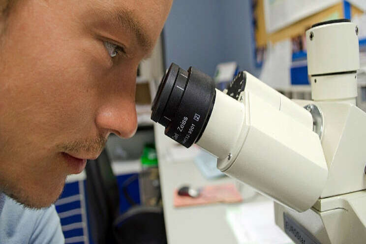 Biosensor moet virussen detecteren in water Biosensor moet virussen detecteren in water