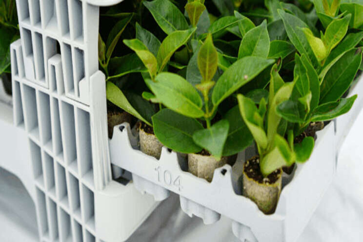 Nieuw innovatief opkweeksysteem Nieuw innovatief opkweeksysteem