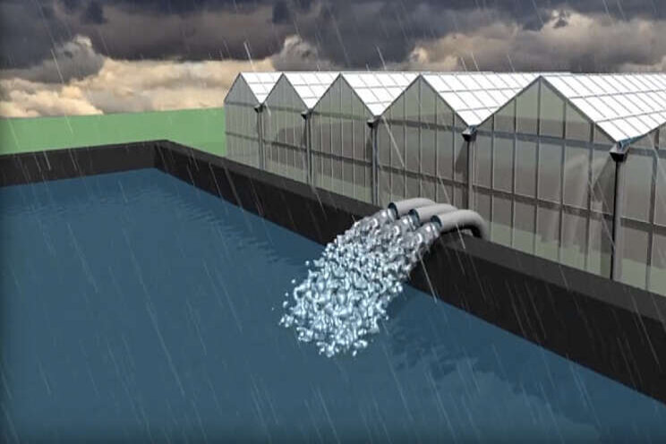 Rainlevelr groeit door Rainlevelr groeit door