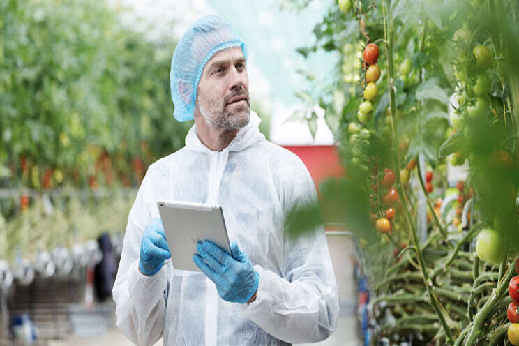 Duurzamer produceren dankzij 'Precision Growing' Duurzamer produceren dankzij 'Precision Growing'