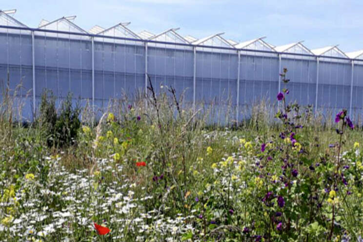 Hoge urgentie biodiversiteit Hoge urgentie biodiversiteit