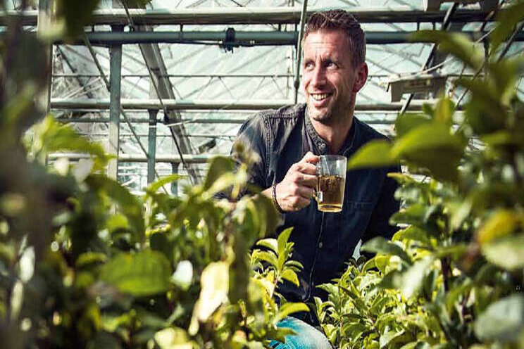 Investeerders 'vechten' om aandeel in theebedrijf Investeerders 'vechten' om aandeel in theebedrijf