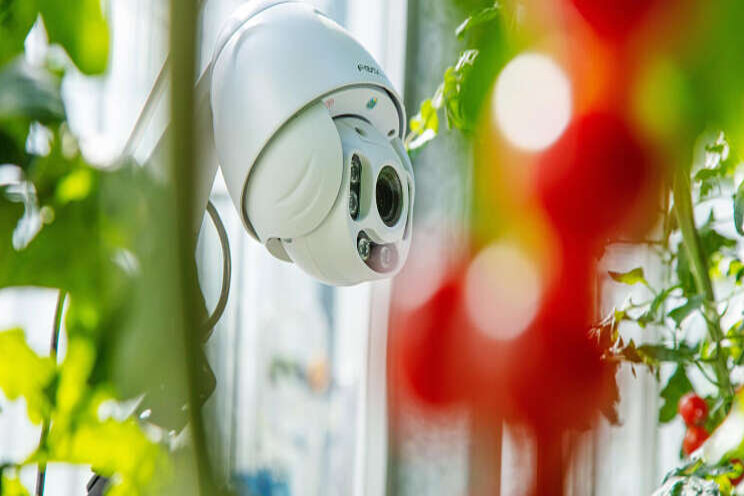 3e editie Autonomous Greenhouse Challenge 3e editie Autonomous Greenhouse Challenge