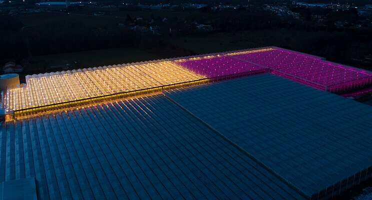 Telers massaal in de startblokken voor LED Telers massaal in de startblokken voor LED