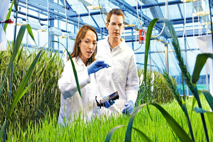 Lichte omzetplus in 2020 voor Bayer Crop Science Lichte omzetplus in 2020 voor Bayer Crop Science