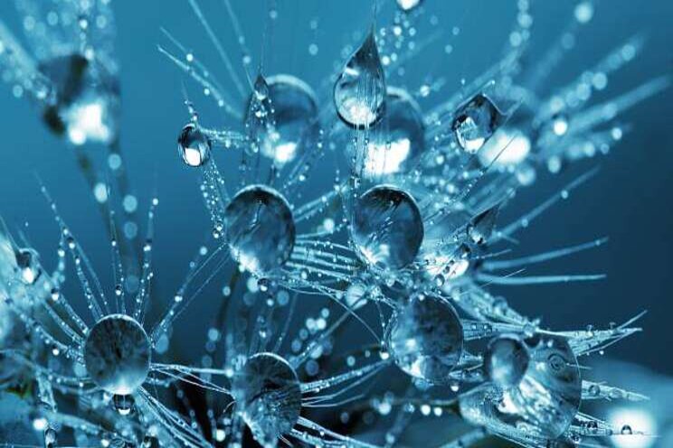 Onderzoek bewijst positieve effecten nanobubbles Onderzoek bewijst positieve effecten nanobubbles
