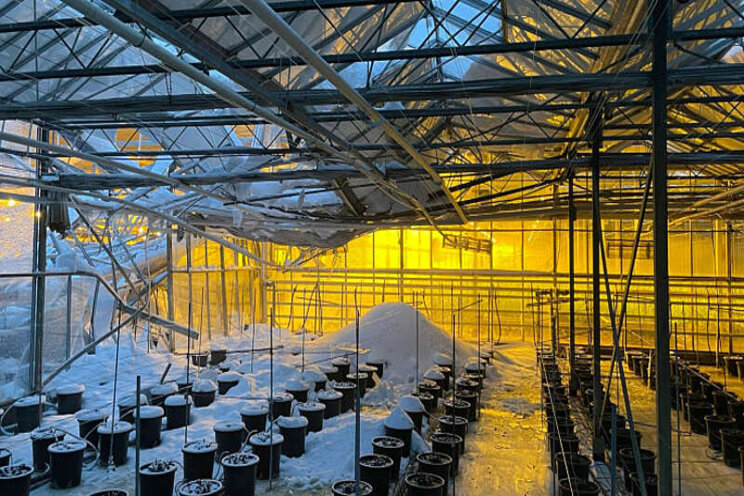 Schade winterweer richting 40 miljoen Schade winterweer richting 40 miljoen