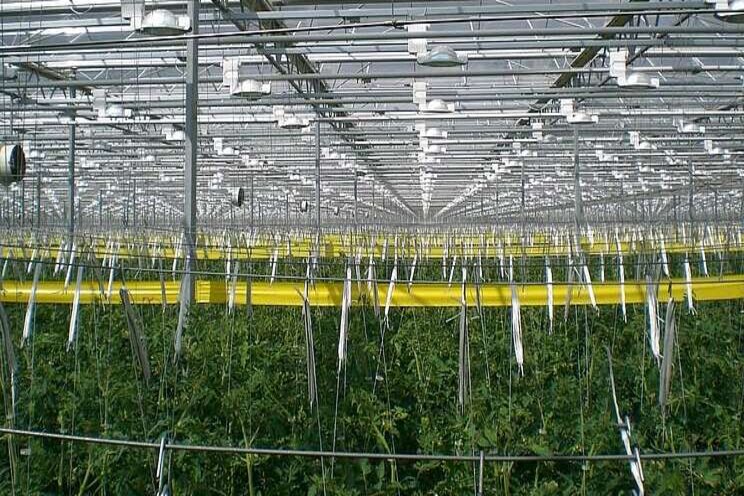 Start project 'Greenhouse Data Harvesting System' Start project 'Greenhouse Data Harvesting System'