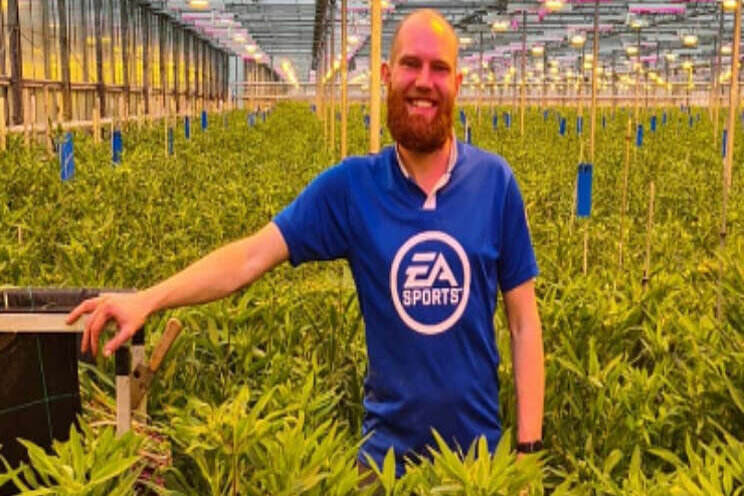 'Teelt onder LED geeft duidelijke meerproductie' 'Teelt onder LED geeft duidelijke meerproductie'