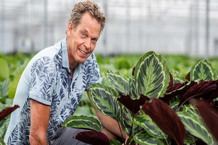 Geen planten weg door maximale biologische inzet Geen planten weg door maximale biologische inzet