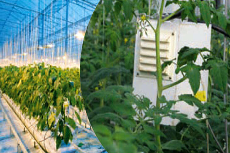 Temperatuurintegratie als aanvulling op HNT-strategie Temperatuurintegratie als aanvulling op HNT-strategie