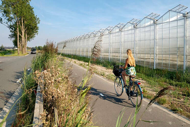Miljoenen voor verduurzaming van Gelderse tuinbouw Miljoenen voor verduurzaming van Gelderse tuinbouw