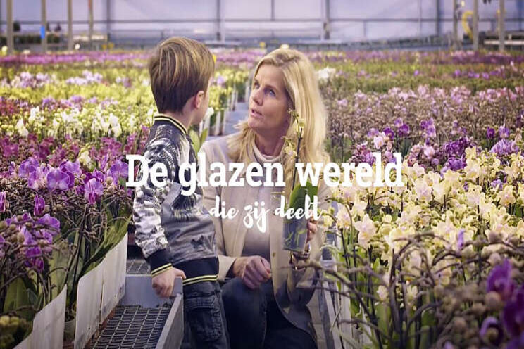 Video: 'Een glazen wereld, met een warm hart' Video: 'Een glazen wereld, met een warm hart'