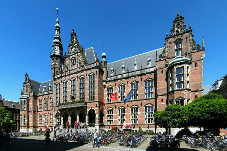 Deep learning helpt bij herkennen van planten Deep learning helpt bij herkennen van planten